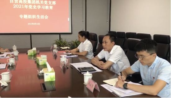 黄凯在党史学习教育专题组织生活会上强调： 始终沿着正确方向创新引领开创公司两化转型和高质量发展新局面